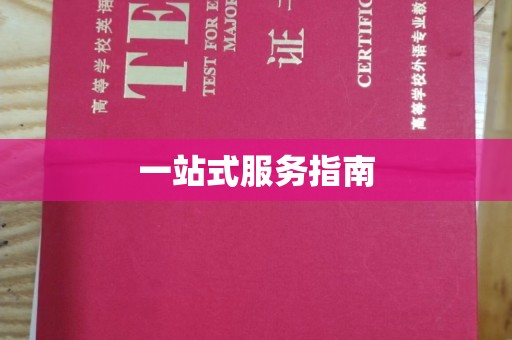 石家庄一站式服务指南